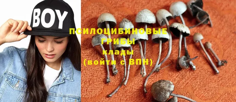 Псилоцибиновые грибы Magic Shrooms  как найти наркотики  Курчатов 